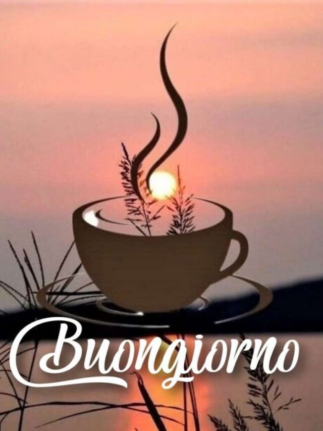 Immagini di Buongiorno domenica 15 agosto 2024